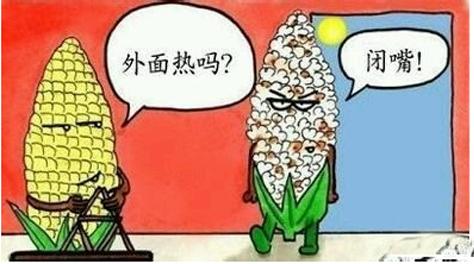 38℃高溫，這些身影讓你看到哭
