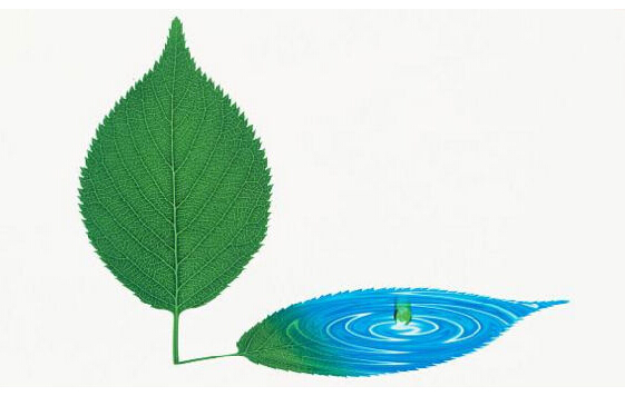 排污許可制度與其他幾項(xiàng)環(huán)境管理制度的關(guān)系