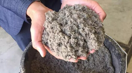僅有1%的垃圾被填埋，荷蘭是如何實現(xiàn)垃圾的循環(huán)經(jīng)濟