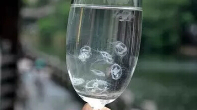 環(huán)保知識，教你如何辨別水質