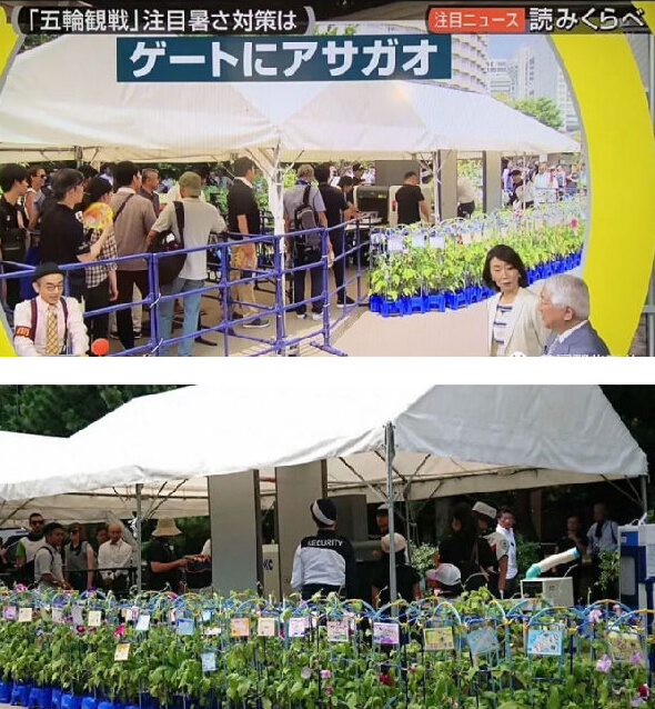 為了環(huán)保，東京奧運(yùn)會要讓運(yùn)動員睡硬紙板糊的床