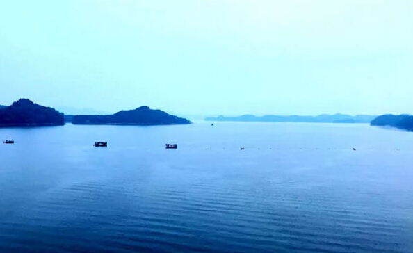 盤(pán)點(diǎn)2019年環(huán)保大事有哪些