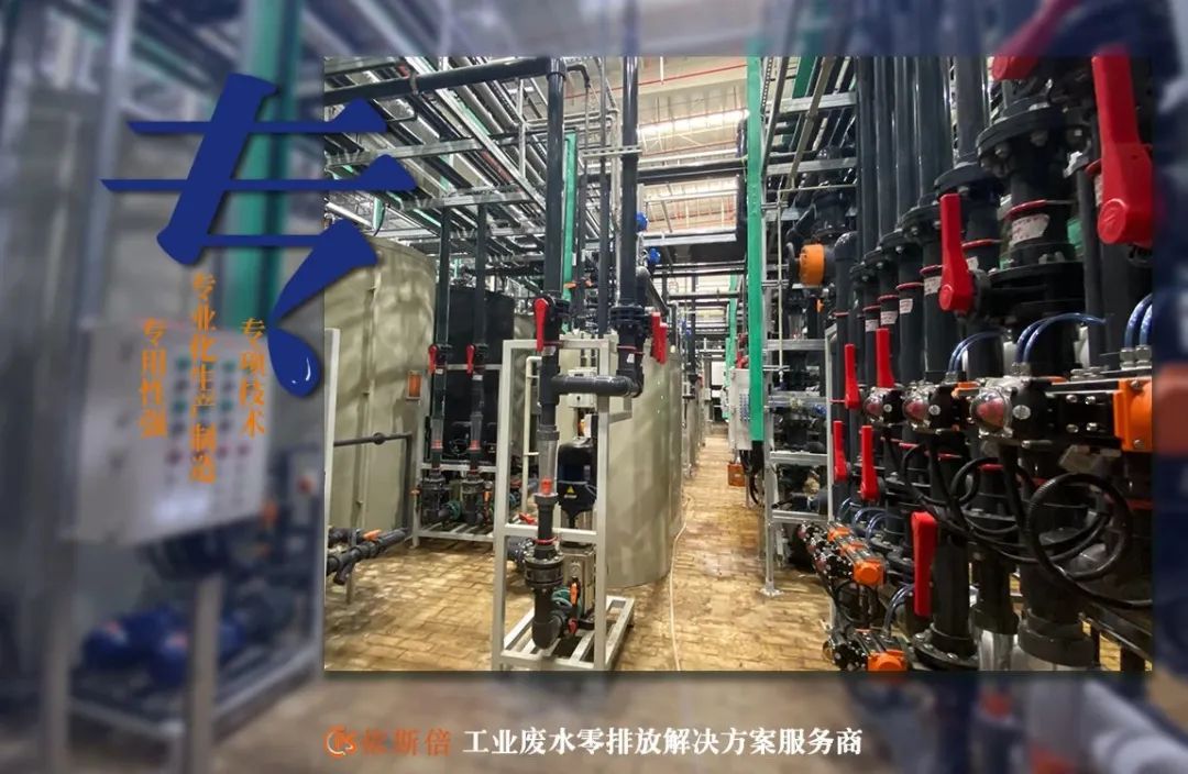 依斯倍入選2022年省級(jí)專精特新企業(yè)